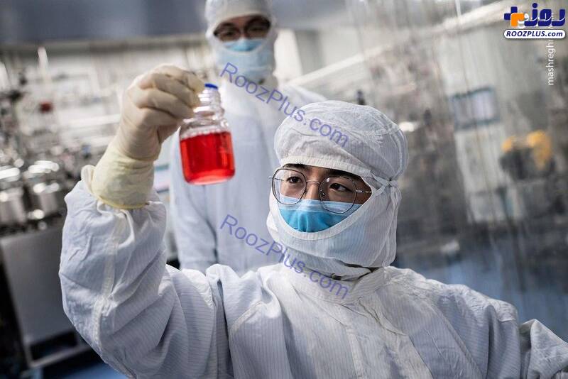 تلاش محققان برای ساخت واکسن کرونا+عکس