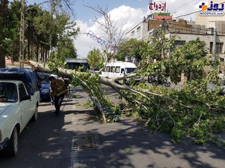 وزش باد شدید در تهران حادثه ساز شد +تصاویر