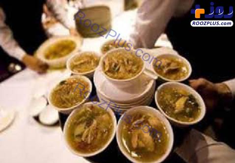 ماجرای طبخ سوپ باله کوسه در رستوران‌های لاکچری تهران