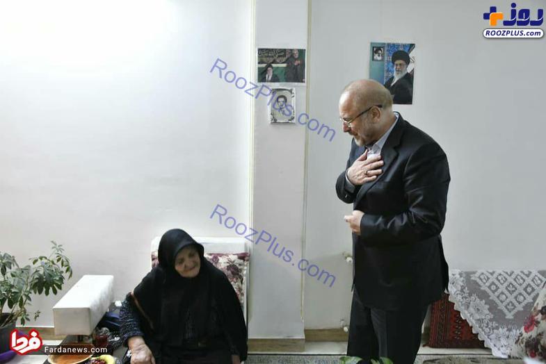 عکس/ قالیباف با مادر شهیدی که گلدانی را برای او قلمه زده بود دیدار کرد