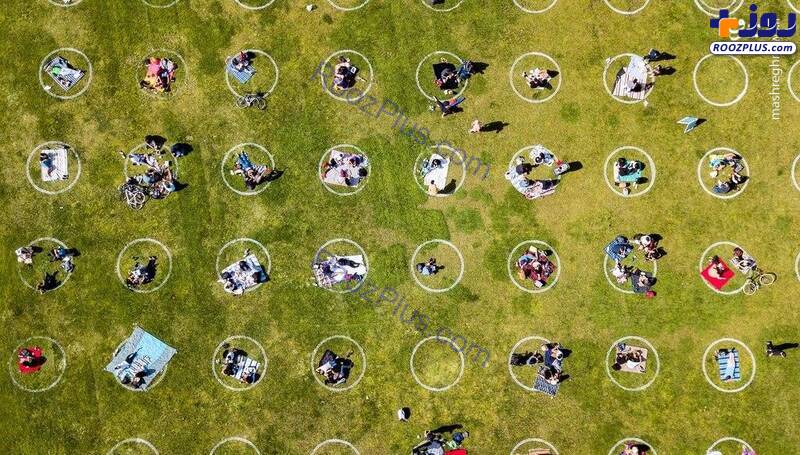 فاصله اجتماعی با کشیدن دایره در پارک +عکس