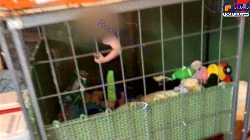 عکس/ کشف کودک ۱۸ ماهه در قفس سگ و موش!
