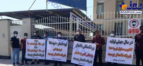 تلف شدن دام‌ها در خوزستان به دلیل گرانی خوراک +عکس