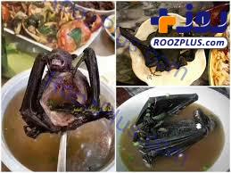 بقایای وحشتناک خفاش در سوپ یک رستوران!/عکس