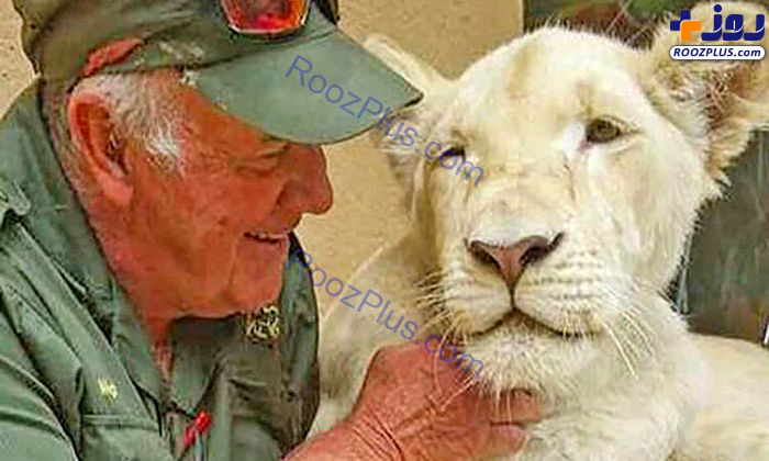 شیر سفید آفریقایی مراقب خود را کُشت +عکس