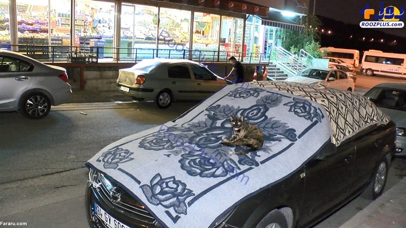 استتار خودروها در استانبول از ترس خسارت تگرگ +تصاویر