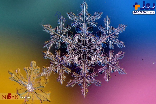 عکس/دانه‌های برف زیر میکروسکوپ