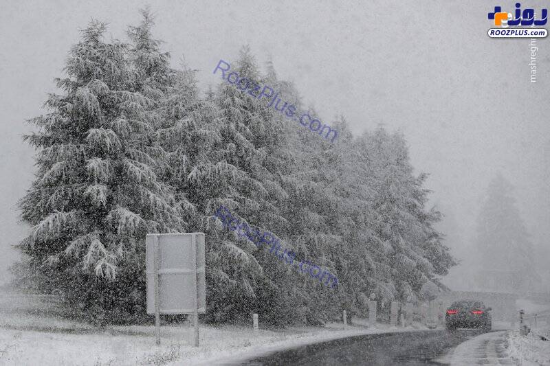 بارش برف پائیزی در اتریش +عکس