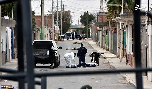 عکس/کشف ده جسد بسته بندی شده در خیابان‌های مکزیک
