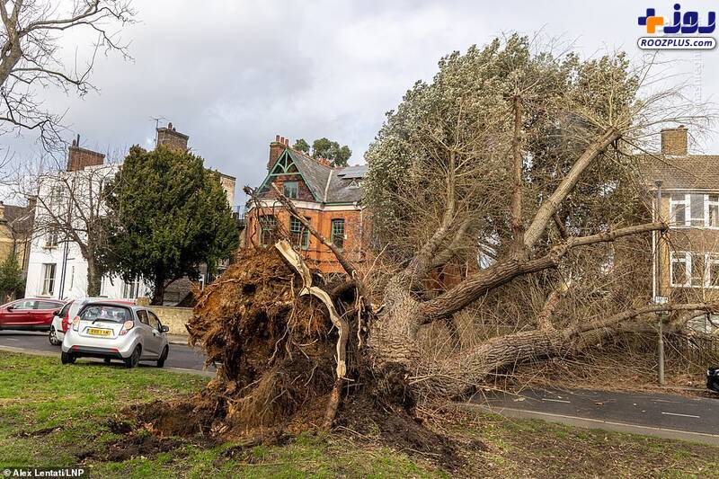 عکس/ ببینید طوفان با انگلیس چه کرد