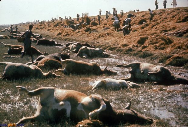 مرگ بارترین بلایای طبیعی که در تاریخ ماندگار شدند+ تصاویر