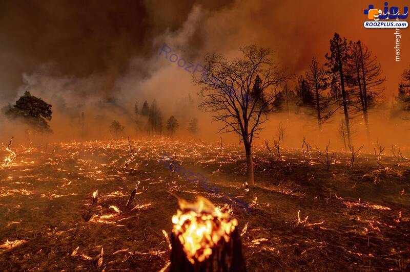 عکس/ تصاویر هولناک از آتش سوزی در کالیفرنیا