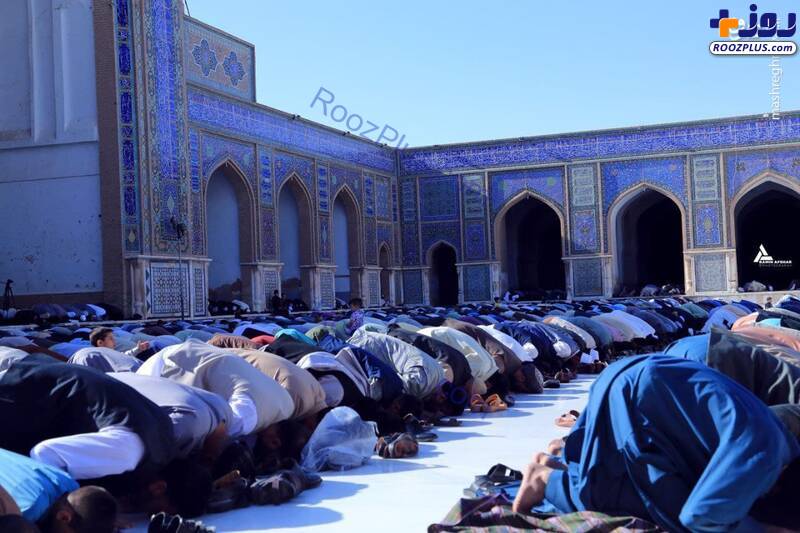 نماز عید قربان در هرات افغانستان +عکس