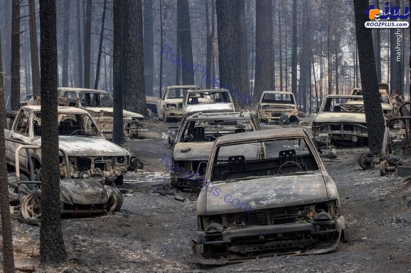 خسارت آتش سوزی کالیفرنیا به خودروها+عکس
