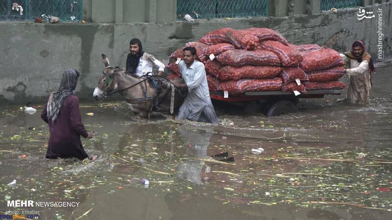 باران شدید باران و سیل در پاکستان/عکس