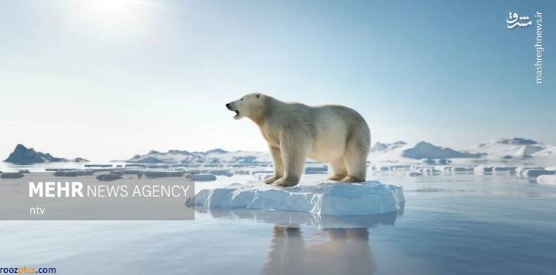 خطر آب شدن یخ‌های قطب شمال/عکس