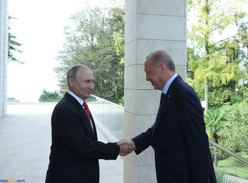 دیدار پوتین و اردوغان در سوچی+عکس