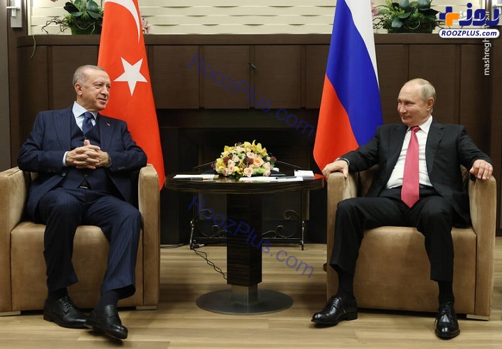 دیدار پوتین و اردوغان در سوچی +تصاویر