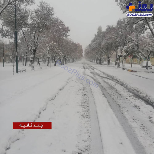 تصویری از بارش سنگین برف در استان کردستان