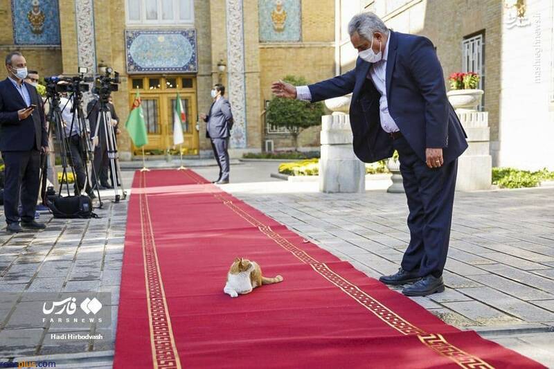 حضور مهمان ناخوانده در فرش قرمز وزارت خارجه/عکس