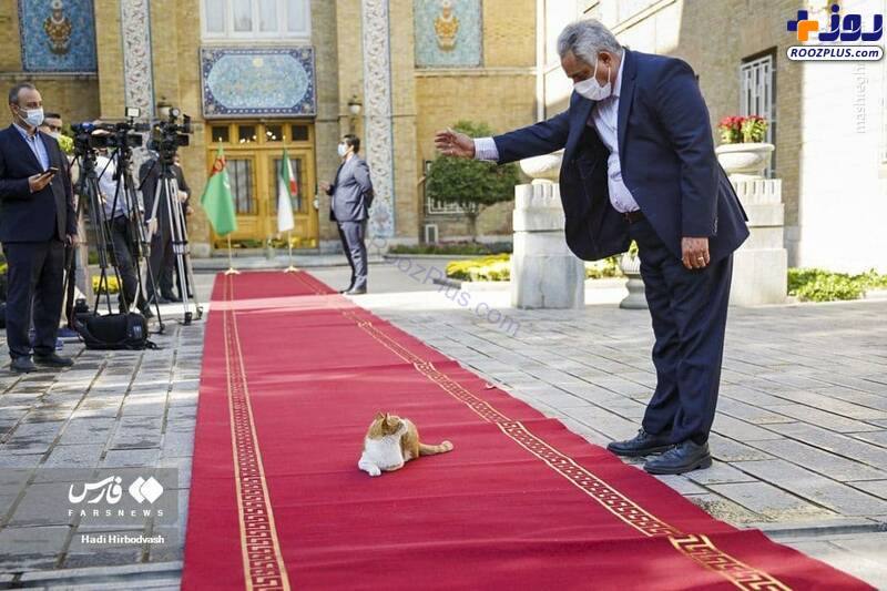 مهمان ناخوانده روی فرش قرمز وزارت خارجه سوژه شد +عکس
