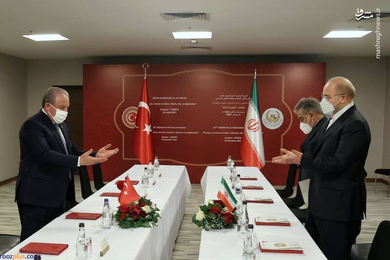 دیدار روسای مجلس ترکیه و ایران در استانبول/عکس