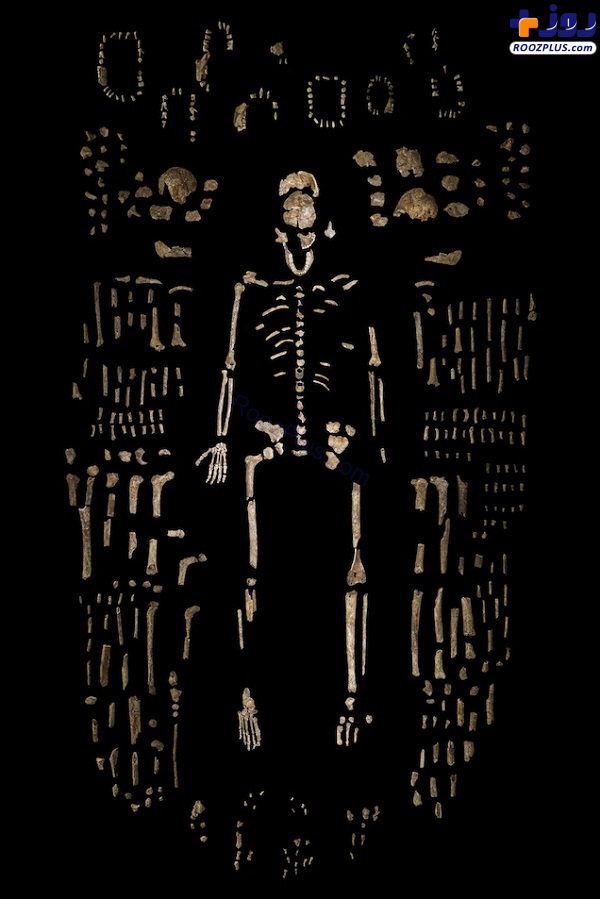 عکس/کشف استخوان‌های ۲۴۰ هزار ساله یک کودک باستانی