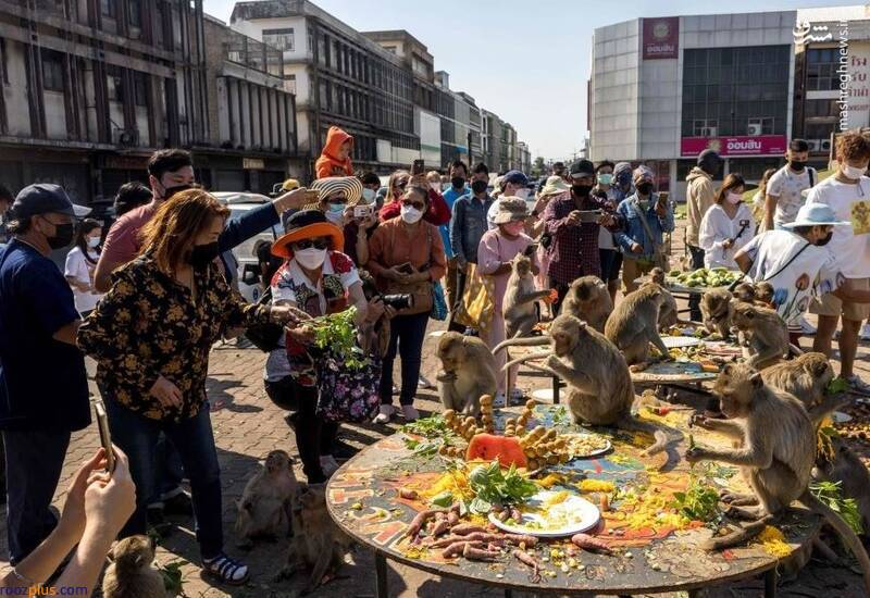 جشنواره سالیانه میمون‌ها در تایلند / عکس