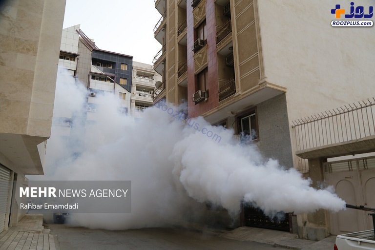 مه‌پاشی علیه پشه «آئدس» در شهر بندرعباس +تصاویر