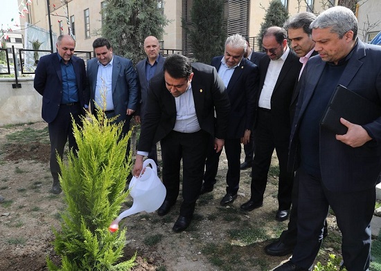 کاشت نهال توسط سرپرست بانک ملی ایران به مناسبت روز درختکاری