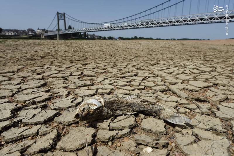 عکس/ خشکسالی در طولانی‌ترین رود فرانسه