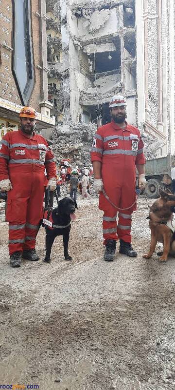 سگ‌های زنده‌یاب در محل حادثه متروپل آبادان/ عکس