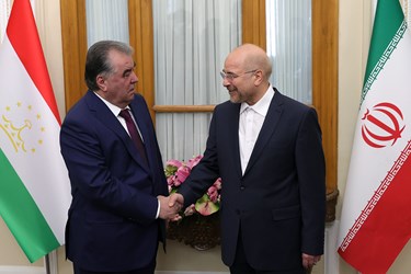 دیدار رئیس جمهور تاجیکستان با رئیس مجلس
