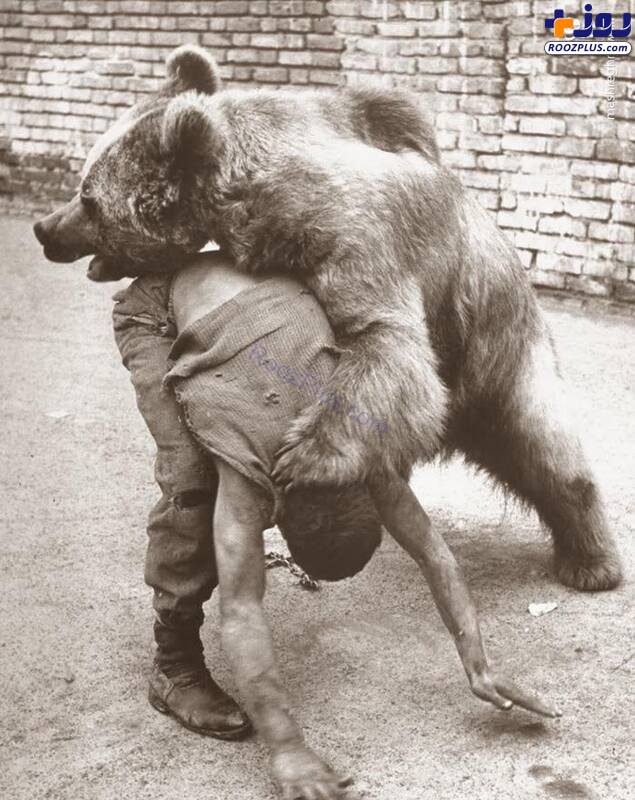 کشتی گرفتن با خرس دهه ۳۰ +عکس