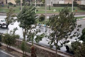 هشدار وزش باد شدید در پایتخت