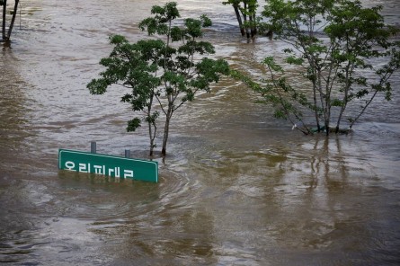 ۶ کشته و مفقود در جریان بارندگی‌های سیل‌آسا در کره جنوبی