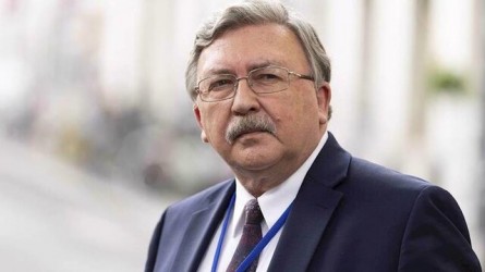 انتقاد اولیانوف از اظهارات سخنگوی اتحادیه اروپا درباره مذاکرات وین