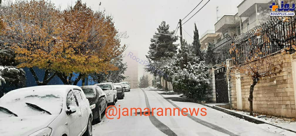 بارش برف در مناطقی از شمال تهران +عکس