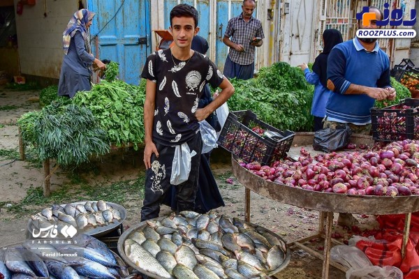 حال و هوای بازار ماهی فروشان خرمشهر +عکس