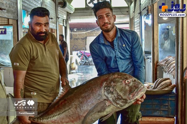 حال و هوای بازار ماهی فروشان خرمشهر +عکس