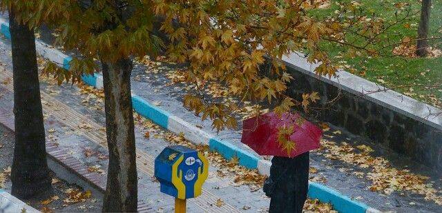 بارش متناوب باران تا دوشنبه شب در تهران