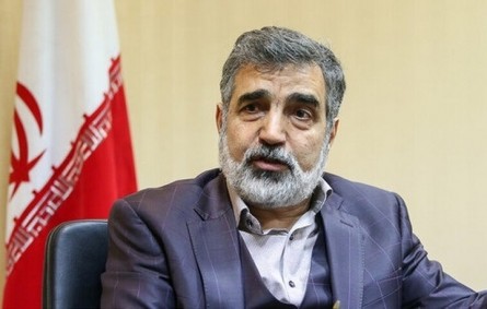 آب سنگین ایران از نظر کیفیت در رتبه نخست دنیا قرار دارد/ رابطه ایران و آژانس رو به جلو است/ پروتکل‌های ایران برای ورود بازرسان آژانس به کشور
