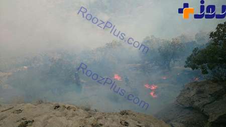 آتش سوزی 80 هکتار از جنگل های گیلانغرب را سوزاند! + تصاویر