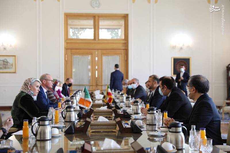 استقبال امیر عبداللهیان از وزیر امور خارجه ایرلند/عکس