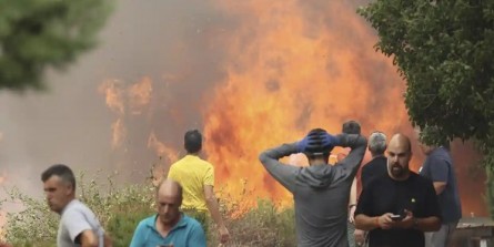 رکورد آتش سوزی در جنگل‌های اروپا